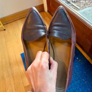 Everlane modern point Italian leather flats